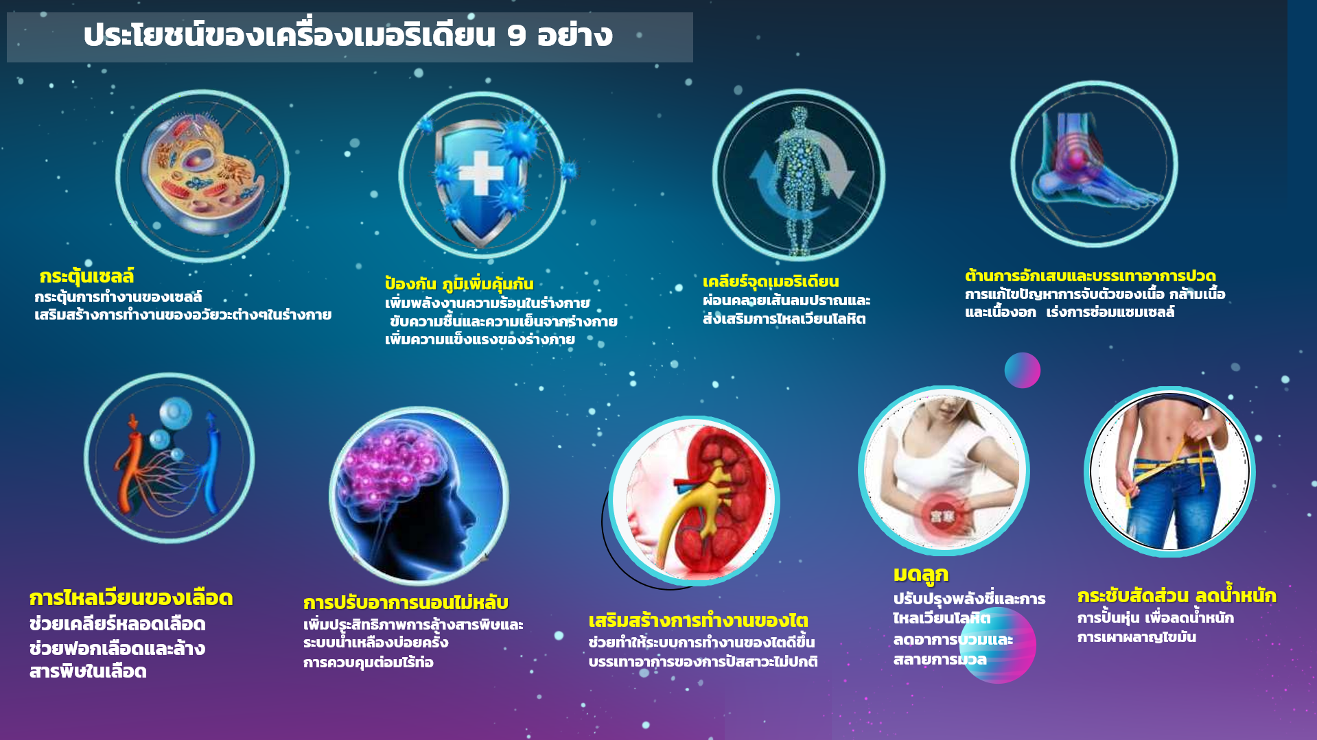 การขนส่งสินค้า